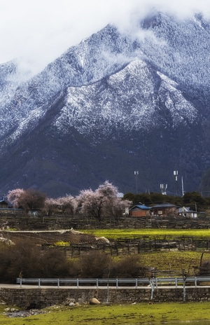 桃花沟-波密-西藏-风景-风光 图片素材