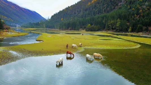 在路上-旅行-莲花湖-风景-风光 图片素材