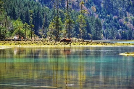 在路上-旅行-莲花湖-湖-湖泊 图片素材
