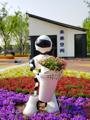 花-蓝天-北京-海淀公园-海淀公园 图片素材