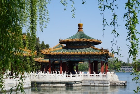 桃花-蓝天-北京-阳光-春天 图片素材