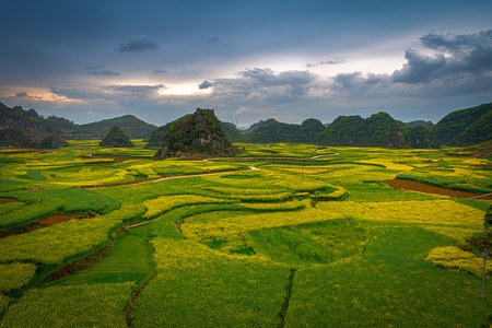 天空-黄色-油菜花-风景-风光 图片素材