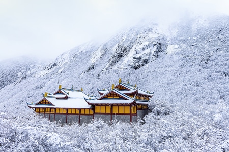 建筑-雪-树-古建筑-雪 图片素材