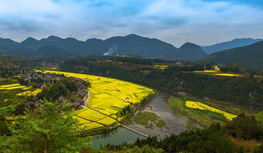 天空-黄色-油菜花-风景-风光 图片素材
