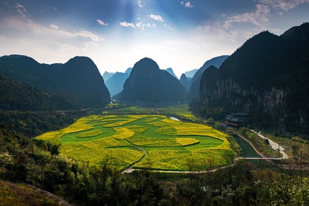 风光-绿色-油菜花-黄色-山地 图片素材