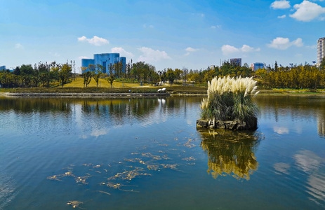 建筑-蓝天-水-湿地公园-公园 图片素材