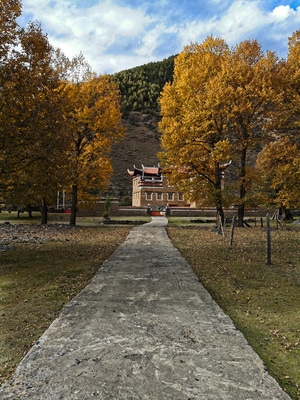 山-树-建筑-风景-景色 图片素材