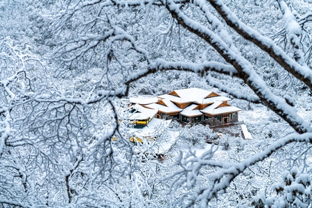 建筑-山-雪-树-雪 图片素材