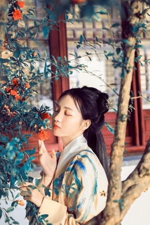 古风-汉服-人像-上海-约拍 图片素材
