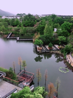 家-别墅-美景-绿植-湖边 图片素材