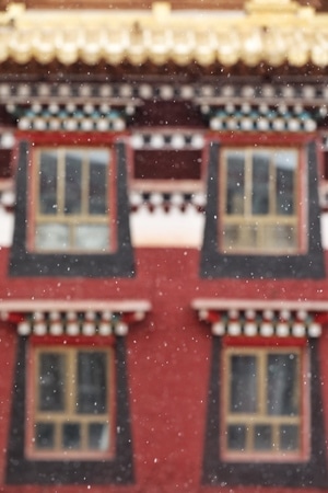 我的2019-冬日暖阳-雪-落雪-甘南作海寺 图片素材