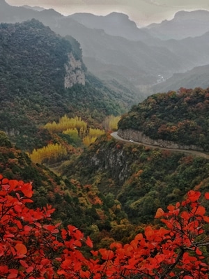 晋城市-手机摄影-山峰-树木-色彩 图片素材