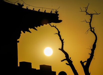 冬季-古庙-神兽-夕阳-枯树 图片素材