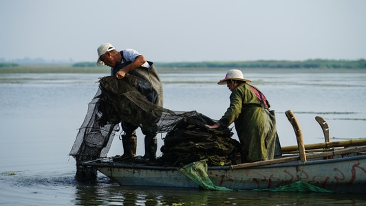 东平湖-捕鱼人-收获-勤劳-渔船 图片素材