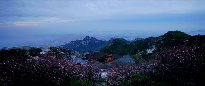 泰山之巅-海棠花-春天-风景-风光 图片素材