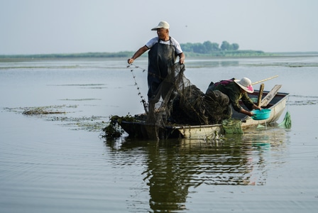 东平湖-捕鱼人-收获-勤劳-渔船 图片素材