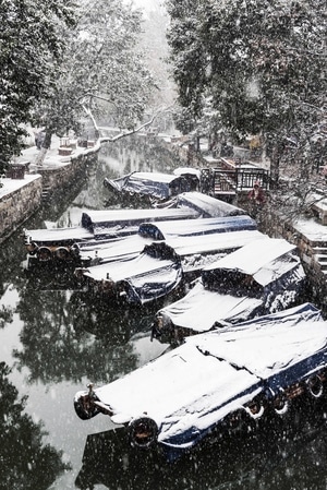 我的2019-风景-大雪-画-风景 图片素材