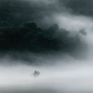 风景-晨雾-迷雾-风景-雾 图片素材
