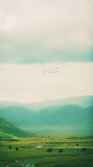 宅家-自然-旅行-风景-风光 图片素材