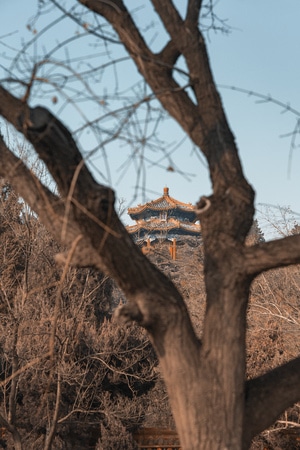 疫情防控中的新年-北京-城市-建筑-人文 图片素材