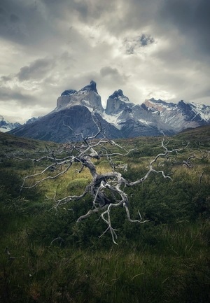 手机摄影-智利-百内国家公园-徒步-风光 图片素材