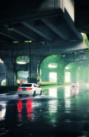 风光-城市-高架桥-汽车-雨天 图片素材