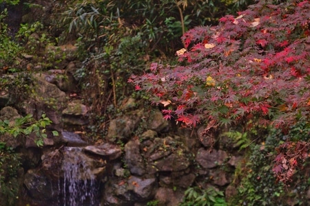 中国风-旅游-旅行-杭州-灵隐寺 图片素材