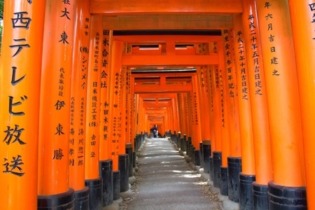 旅行-旅游-日本-橙色-稻荷大社 图片素材