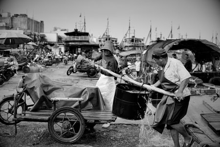 黑白-渔港-鱼市-劳动人民-繁忙 图片素材
