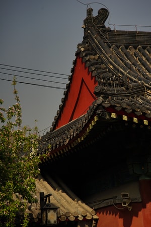 花开-春天-休闲-色彩-北京 图片素材