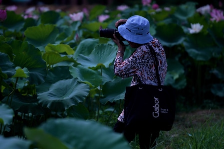 2019inf招募-光影-色彩-夏天-随拍 图片素材