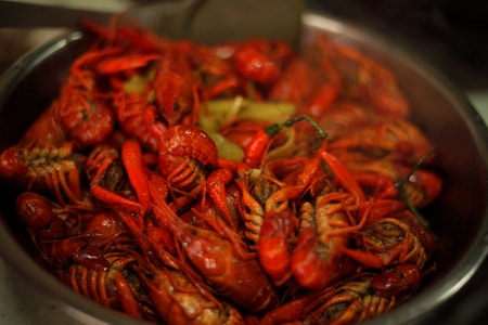小龙虾-辣椒-美食-生活-随拍 图片素材