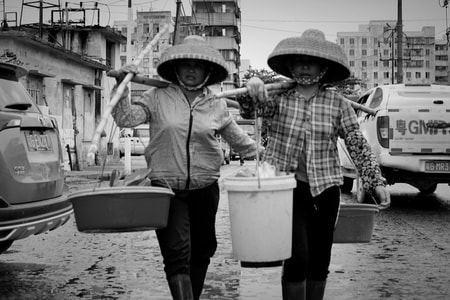 黑白-渔港-鱼市-劳动人民-繁忙 图片素材