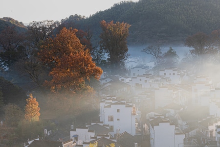 日出-古村落-光影-树-线条 图片素材