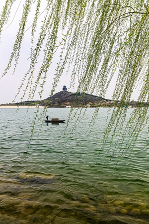 静谧-湖面-树-线条-风景 图片素材
