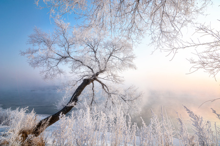 雾凇-冬日-雪景-吉林-对流天气 图片素材