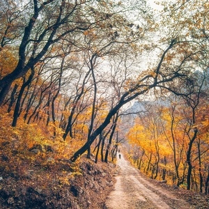 蚕姑坨-河北易县-秋色-自然-风景 图片素材