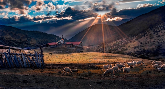 自然-风光-电脑传图-风景-风光 图片素材