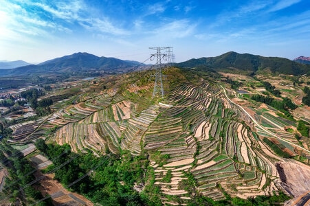 日照市-莒县梯田-风景-风光-自然 图片素材