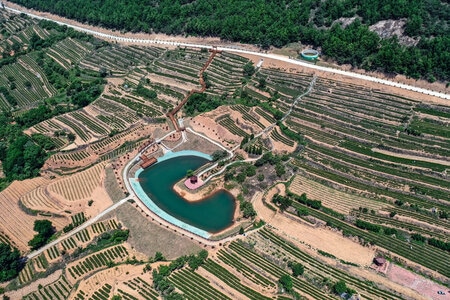 日照市-茶园-自然-风景-风光 图片素材