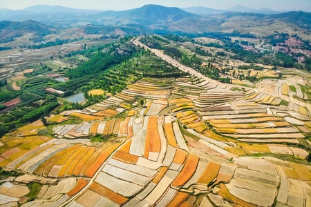 旅行-红火-绿色地球-光影-你好2020 图片素材
