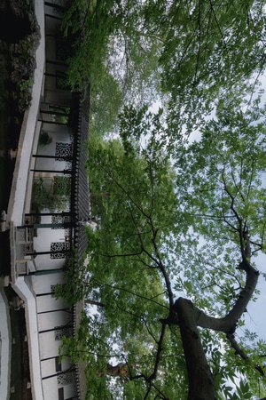 我的六月-夜色-色彩-姑苏-夜游 图片素材