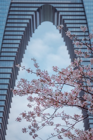 城市的色彩-苏州-建筑-色彩-春天 图片素材