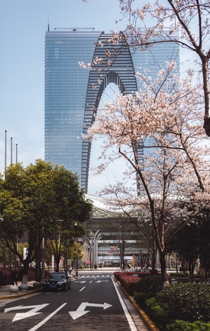 城市的色彩-苏州-建筑-色彩-春天 图片素材