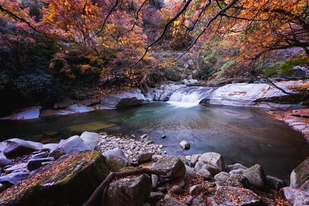 自然-色彩-红叶-一镜知秋-风景 图片素材