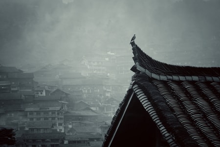 旅游-心情-屋檐-鸟-檐角 图片素材