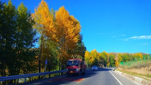 风光-摄影师胡文凯-旅行-秋色-公路 图片素材