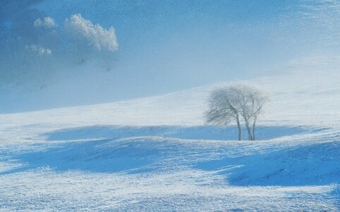 乌兰布统-大雪-草原-雪-草原 图片素材