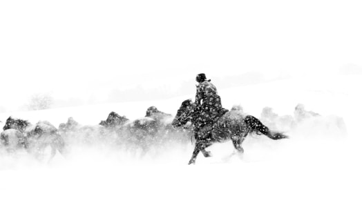 冬天-大雪-乌兰布统-草原-马群 图片素材