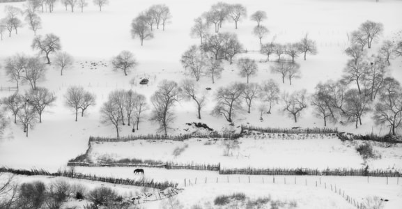 蛤蟆坝-冬季-大雪-山坡-篱笆 图片素材